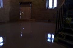 Liquid Sreed at Windmill Usk